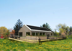 Illustration of Self-Reliance in a grassy setting. Several small groups of people stand outside.